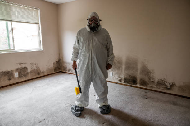 Best Attic Mold Removal  in Lillington, NC
